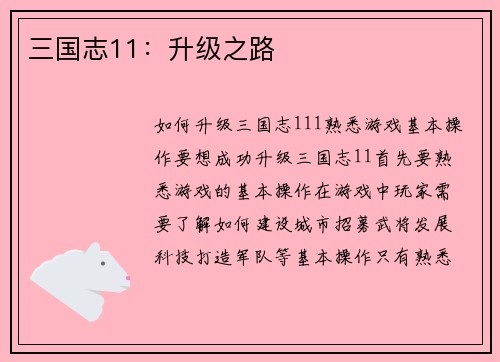 三国志11：升级之路